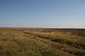 Karpaty+Krym 06.2007 241